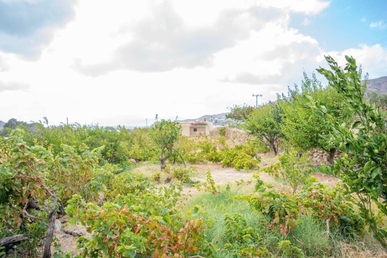 Villa Perivoli House Mylopotas Esterno foto